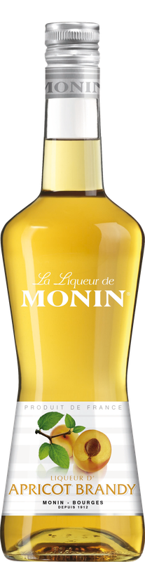 MONIN Apricot Brandy Liqueur