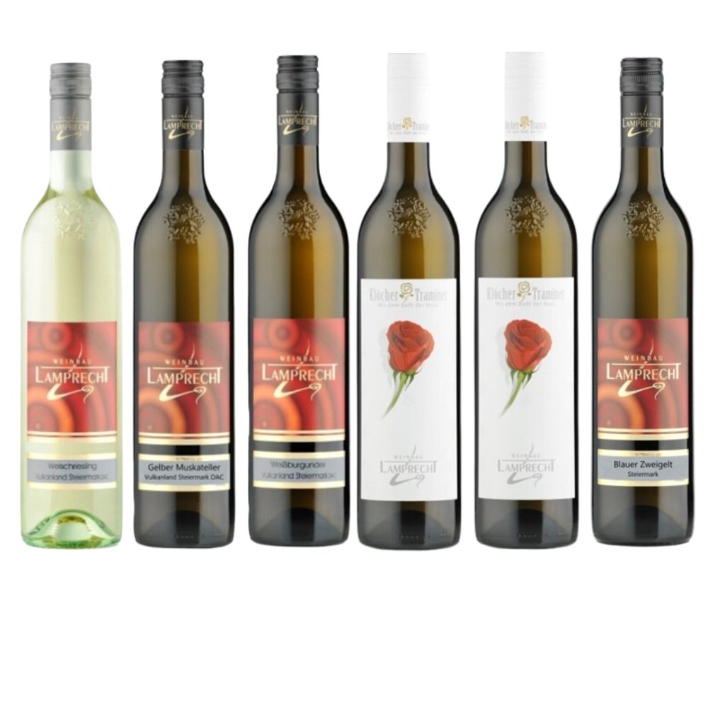 Probierpaket Weinbau Lamprecht 6x 0,75l