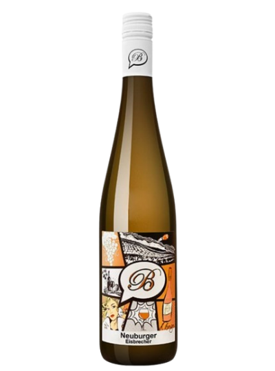 Neuburger Eisbrecher 2023