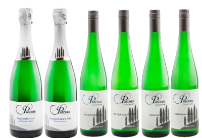 Probierpaket Weingut Paschek 6x 0,75l