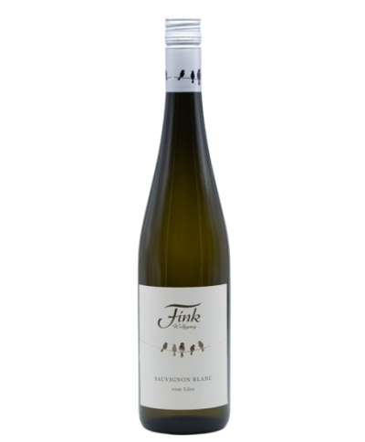 Sauvignon Blanc vom Löss 2025