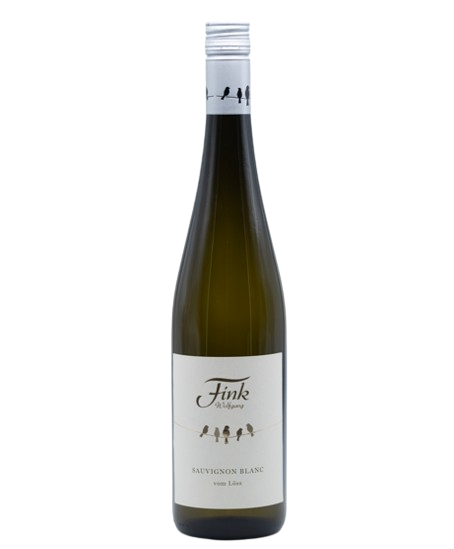 Sauvignon Blanc vom Löss 2025