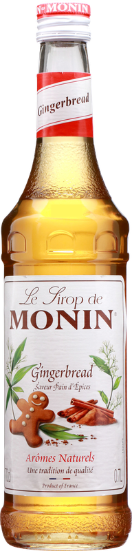 MONIN Lebkuchen (Gingerbread) Sirup
